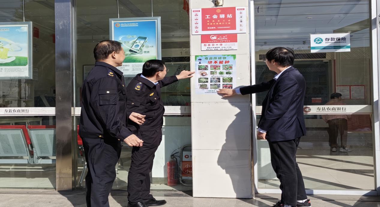 qq图片20240606141145