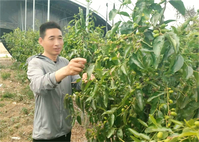 微信截图_20240619091851