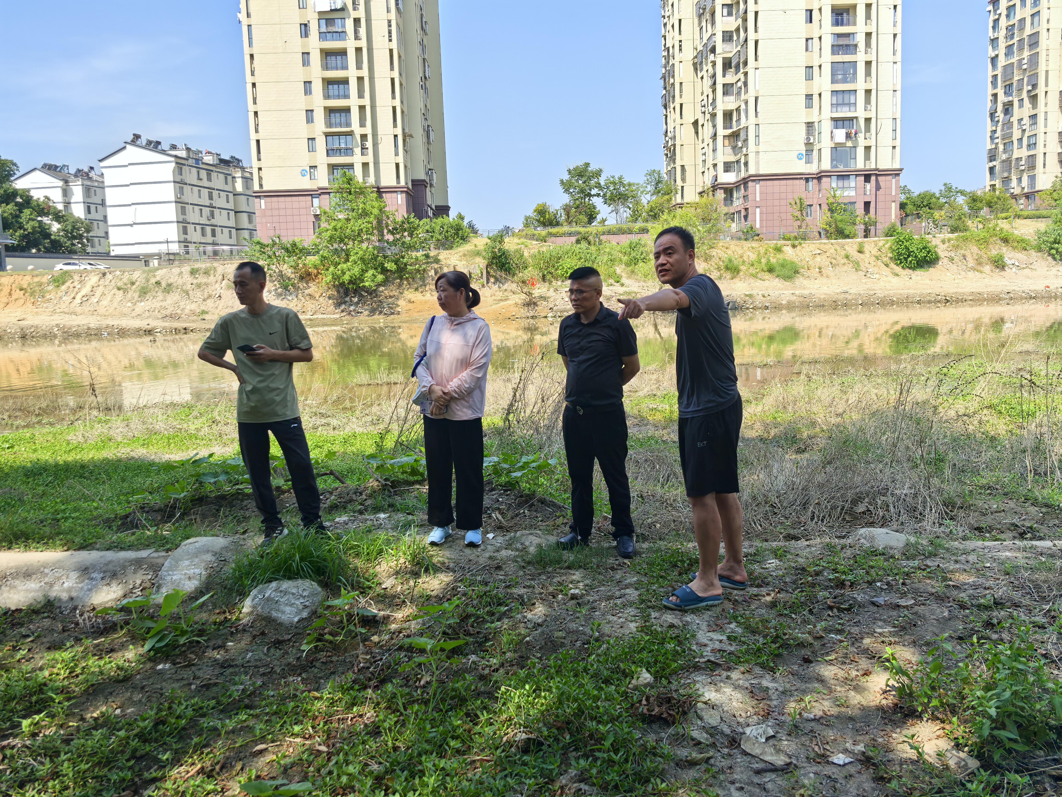 8.8河道边住建局查看