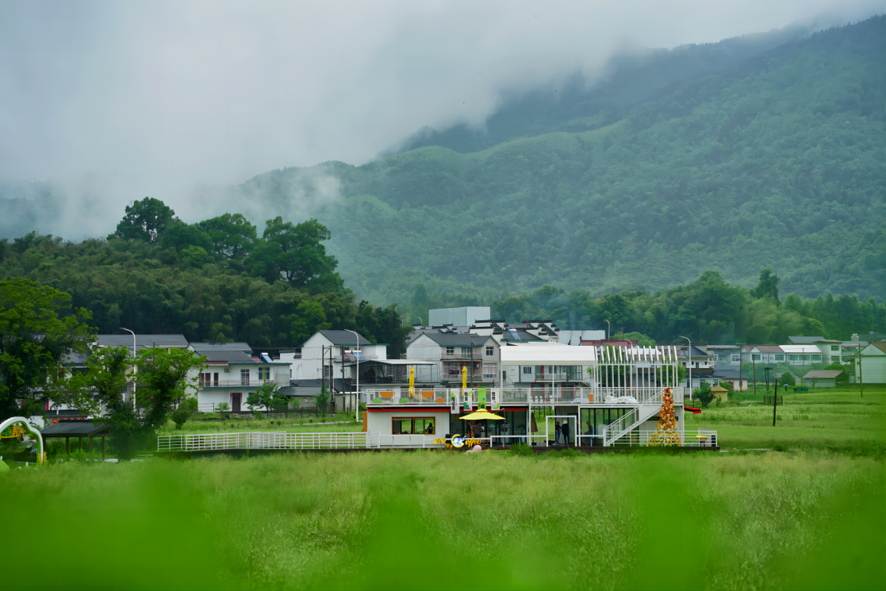 芦荔村-稻田里的猫咖啡1-桂信超