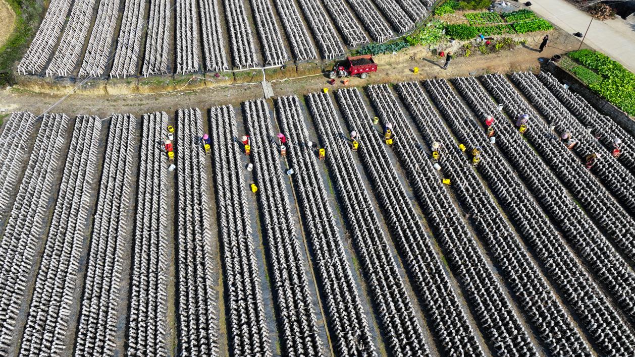 dji_fly_20241113_100306_0044_1731499046209_photo