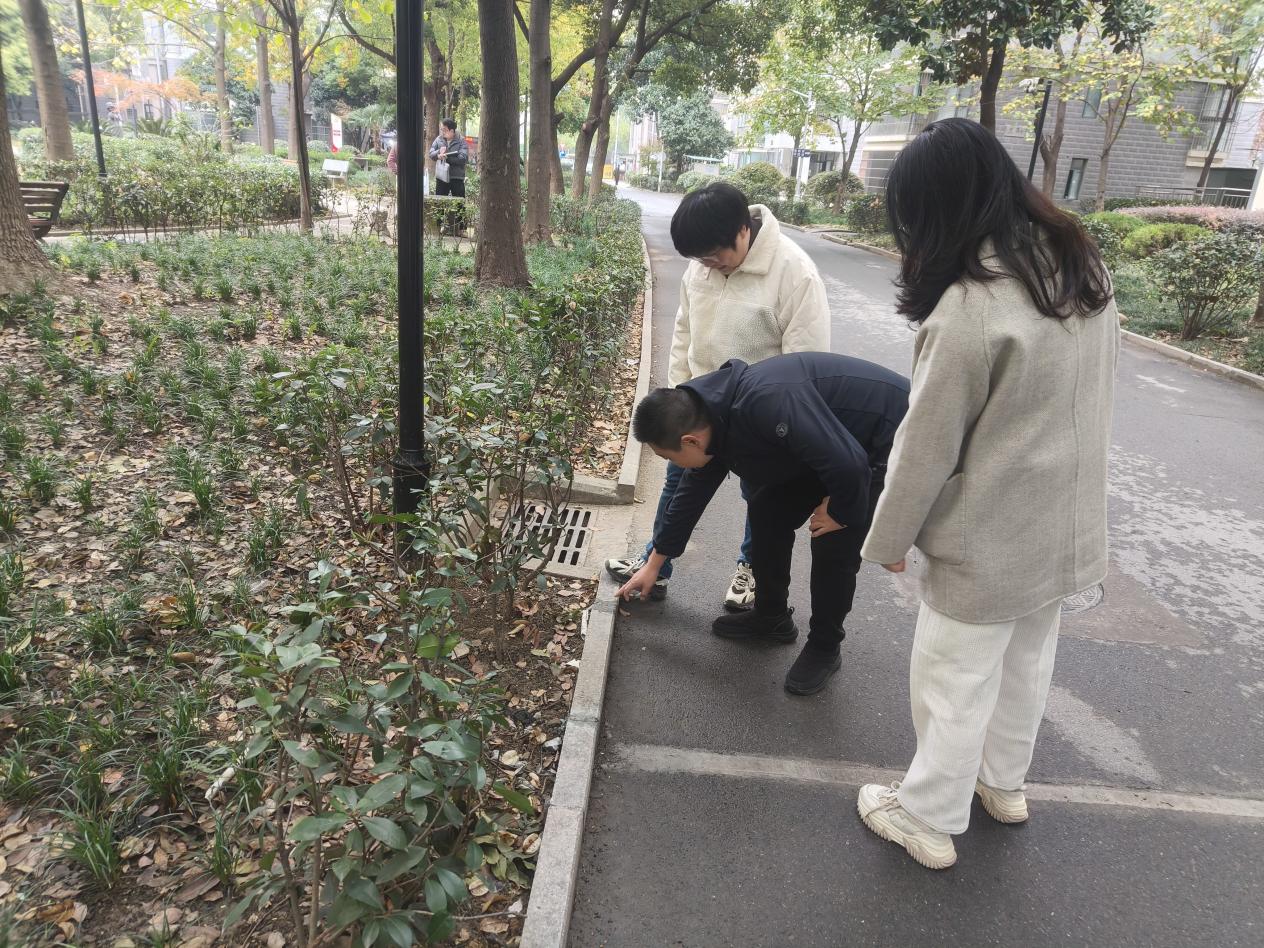 香格里拉2