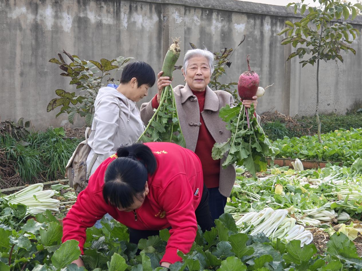 微信图片_20241212145439