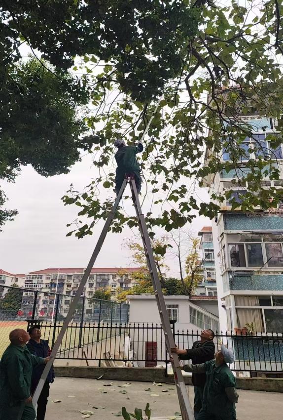 微信图片_20241210104237